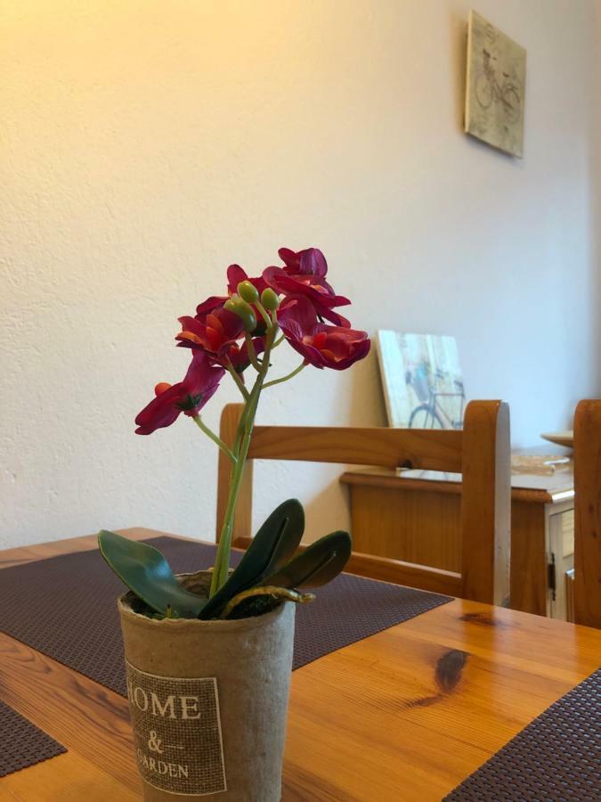 Apartaments S'Arenella Кадакес Екстериор снимка